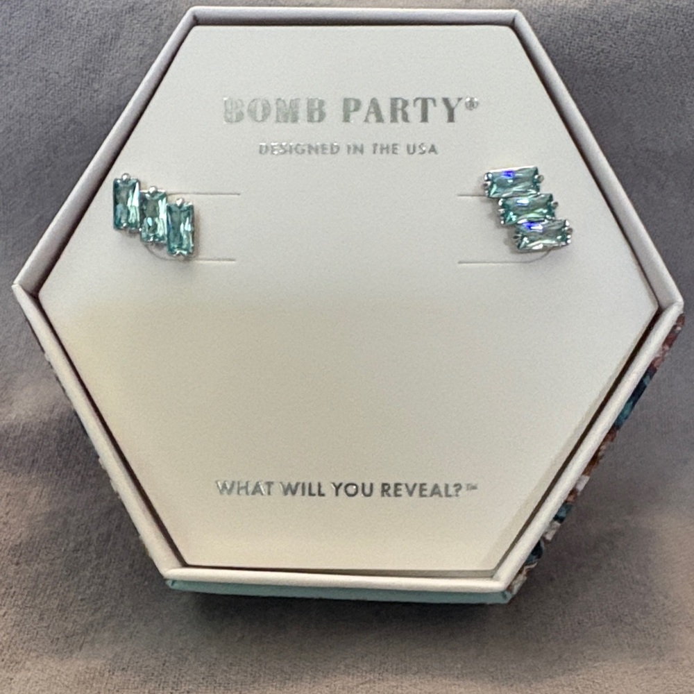 Silver and Blue Earrings